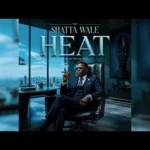 Download: Shatta Wale – Heat Mp3